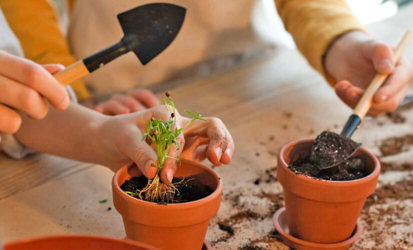 Atividades incluem oficinas de jardinagem, de slime, de bolsa de feltro, de caderno e mais