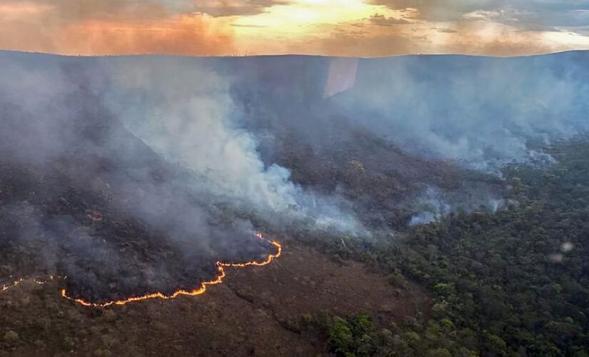 Número de focos no Brasil já dobrou em relação ao mesmo período de 2023