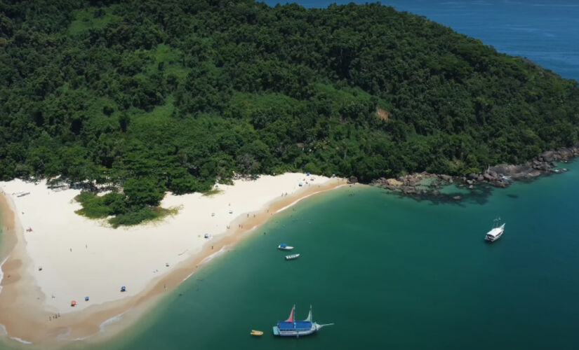 As águas claras da Praia da Ilha do Prumirim, em Ubatuba, oferece mergulho com tartarugas e peixes