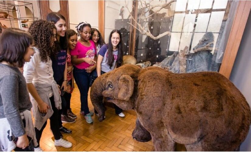 Museu promete oferecer muita diversão e aprendizado para todas as idades