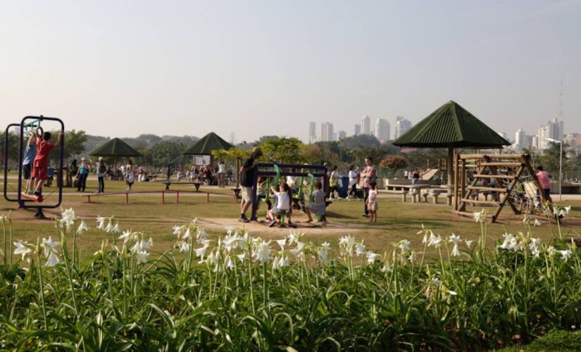 Piquenique com a Turma da Mônica, no Parque Villa-Lobos, terá atividades à família