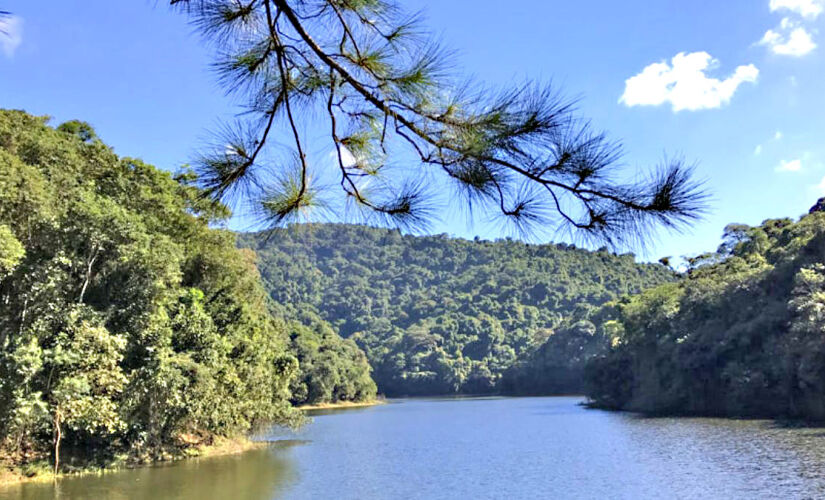 O Parque Estadual da Cantareira (também conhecido como Floresta da Cantareira) tem um pedaço da Mata Atlântica em SP