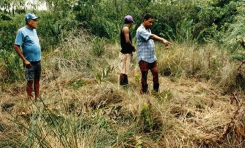 Pescadores apontam, na vegetação, as marcas que a suposta nave teria deixado