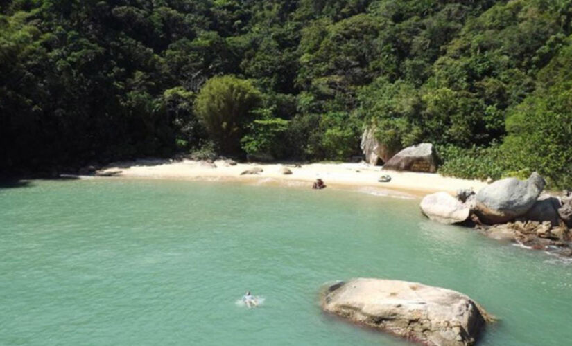 Isolada, praia do Moisés é caracterizada por ser cercada de verde e possuir mar calmo