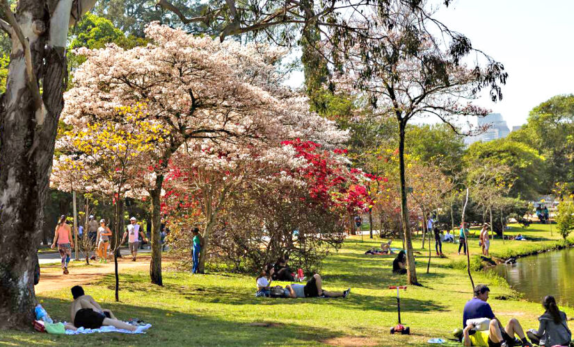 Essa é uma oportunidade para frequentadores vivenciarem a magia da música, em meio à beleza natural do parque