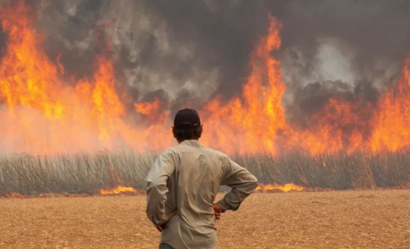 Inmet utiliza um índice de flamabilidade para determinar o grau de perigo de incêndios