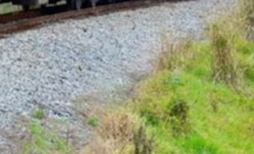 SP tem passeio de trem com comida à vontade