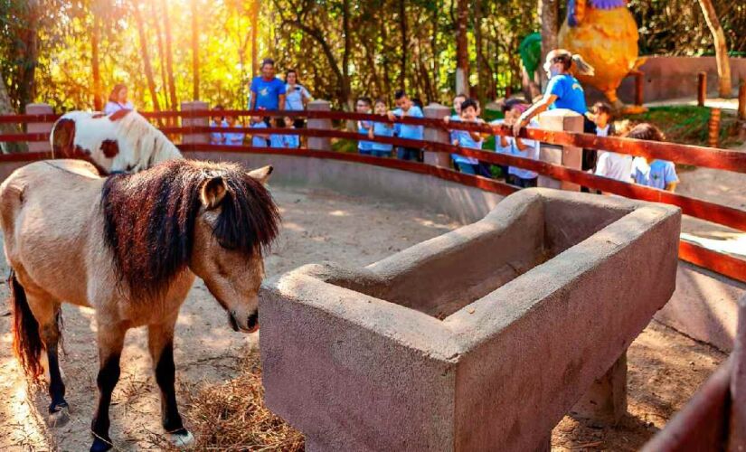 O parque Sitiolândia fica na Serra da Cantareira