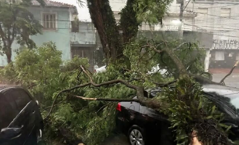 A chuva derrubou árvores e deixou pessoas sem energia desde semana passada em São Paulo