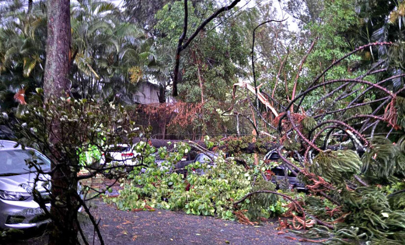 Forte chuva e queda de árvore na rua Francisco Alves Quinta, no Jardim Taboão, na zona sul de São Paulo