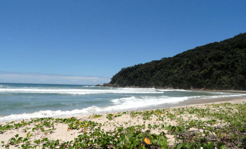 Guardada quase que como um segredo entre os moradores e visitantes de Ubatuba, a Praia Brava do Camburi é uma opção que deve ser visitada principalmente por quem busca um local mais privativo