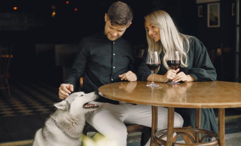 Para os paulistanos que não querem deixar seus amigos de quatro patas em casa, há uma variedade de locais que oferecem não apenas um cardápio delicioso, mas também um ambiente acolhedor para os pets 