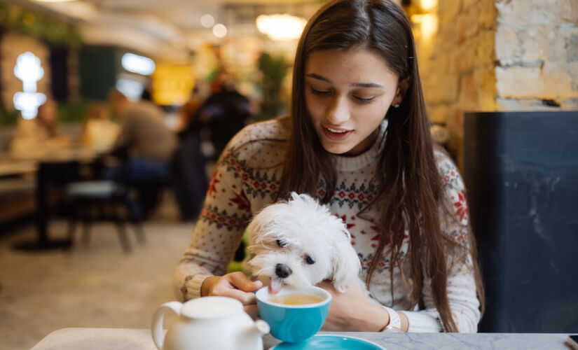 Já não é mais necessário deixar seu amigo de quatro patas em casa para visitar um restaurante em SP