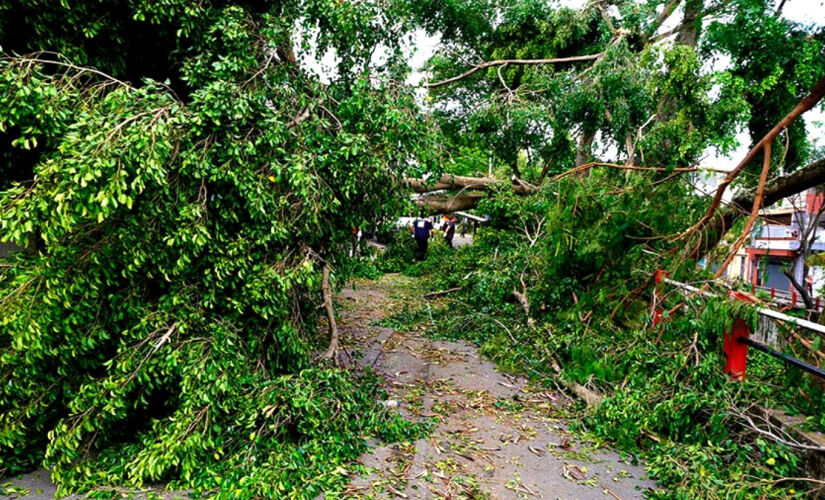 Temporal devastou fiação elétrica e derrubou árvores 