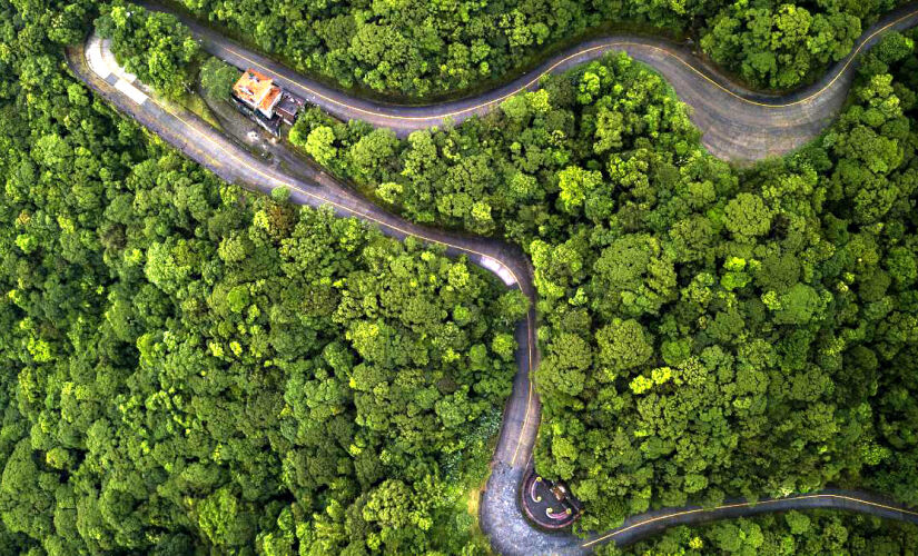 Próximo da Capital, o Parque Estadual da Serra do Mar organiza trilhas interessantes para quem deseja aproveitar a natureza