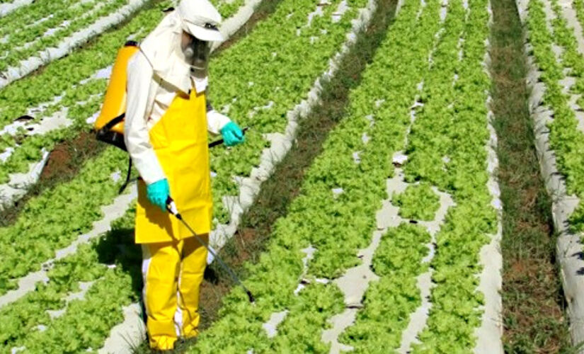 Organização Internacional do Trabalho (OIT) afirma que venenos agrícolas causam 70 mil intoxicações agudas e crônicas por ano