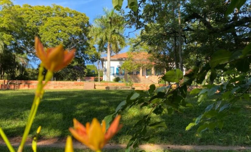 Fazenda do Lapa hoje foca em agrofloresta e preservação ambiental