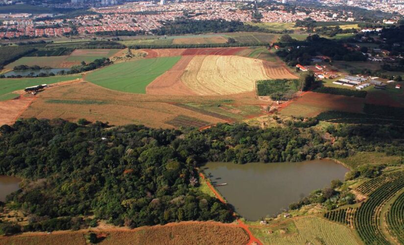 Fazenda Santa Elisa pertence ao Instituto Agronômico de Campinas  