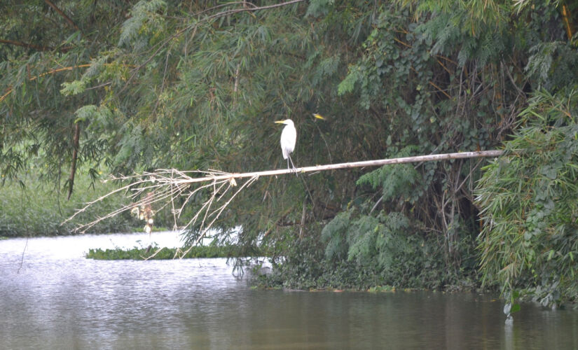 Parque oferece observação de aves, além de várias outras atrações