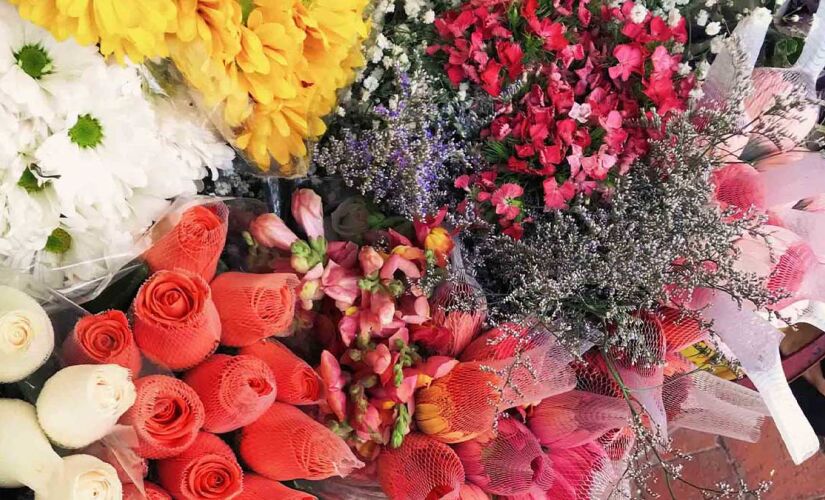 A cor e o simbolismo das flores podem trazer energias especiais