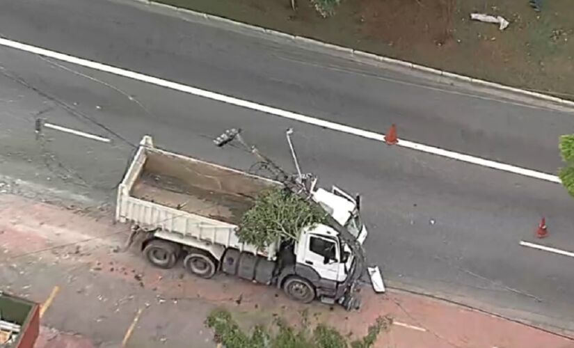 Caminhão derrubou uma árvore e um poste com o impacto da batida