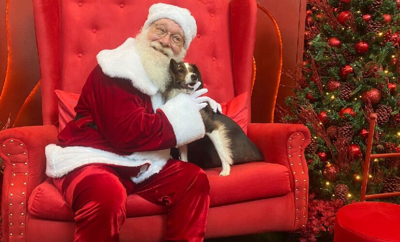 Clarice, do Projeto O Cãodeirante, já visitou o Papai Noel do Shopping Frei Caneca