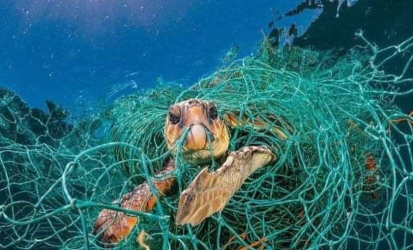 A pesca fantasma, chamada de ghost fishing em inglês, é o que acontece quando os equipamentos desenvolvidos para capturar animais marinhos são abandonados no mar. 