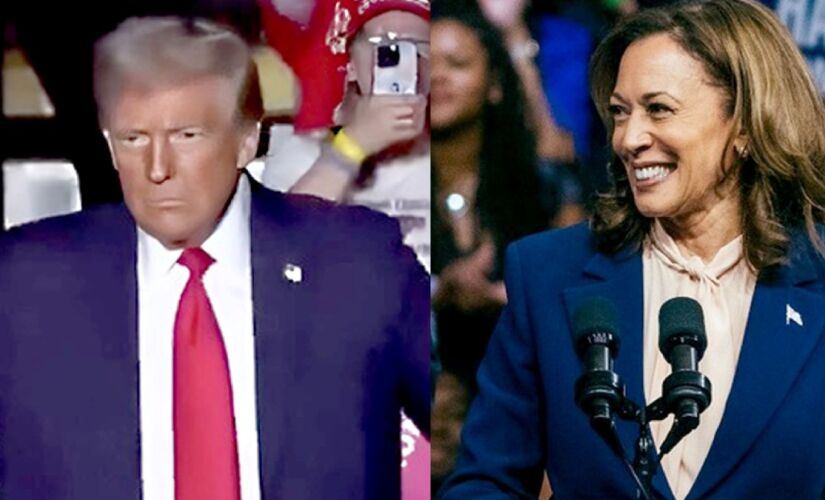 Kamala Harris concorre com Donald Trump à presidência dos EUA