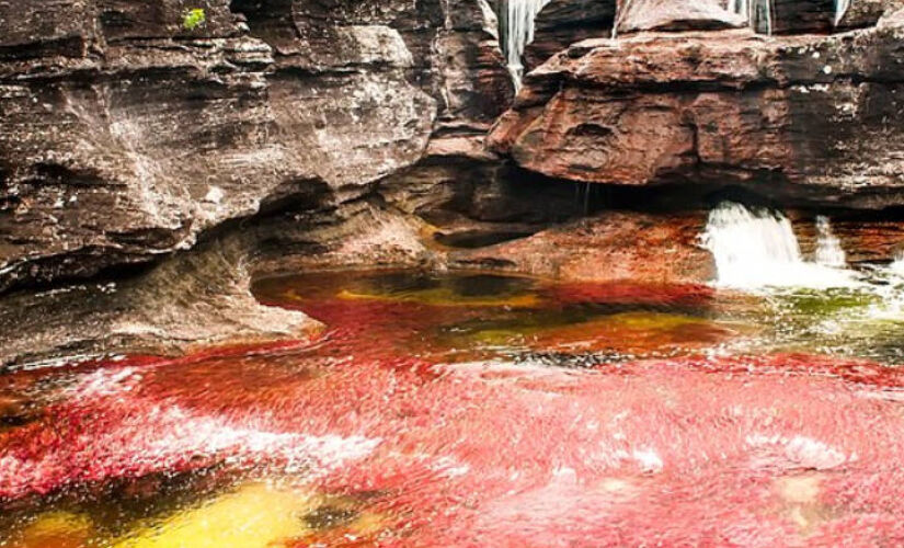 O rio colorido, Caño Cristales, na Colômbia