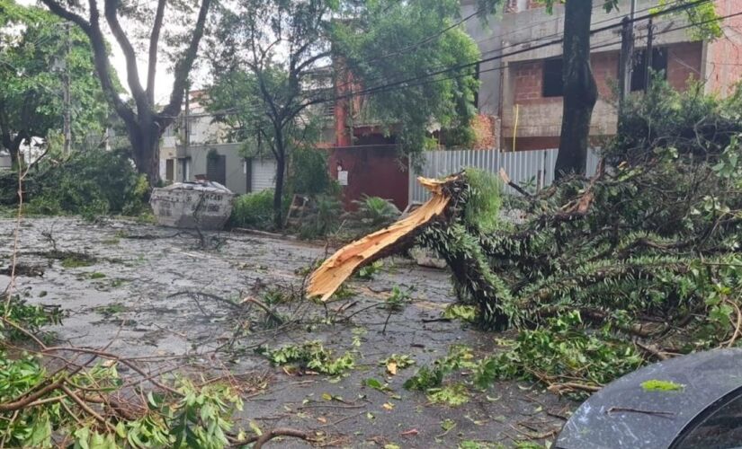 Chuvas em São Paulo deixam imóveis sem luz e causam quedas de árvores (foto ilustrativa)