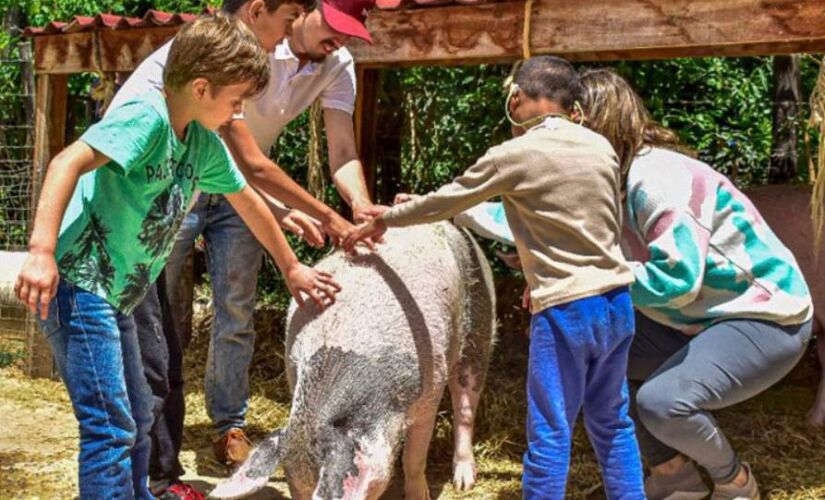 Natureza Conecta promove a interação com os bichos, o que permite criar vínculos, propor oportunidades de autoconhecimento e descobertas