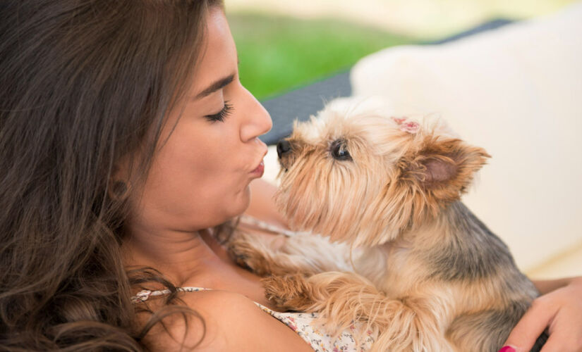 Muitos cães se sentem invadidos ao receberem beijos no focinho