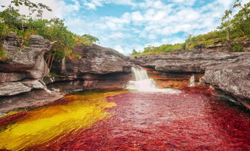 O que torna o Caño Cristales tão especial são os núcleos repleto de cores nas águas, que parecem refletir um arco-íris nas profundezas do rio. 