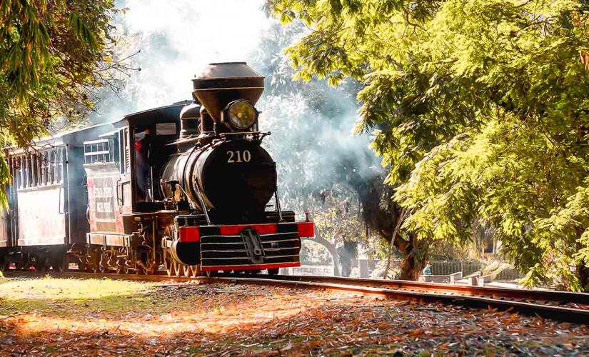 Passeio de trem de Miguel Pereira é feito em uma locomotiva histórica, com mais de 130 anos