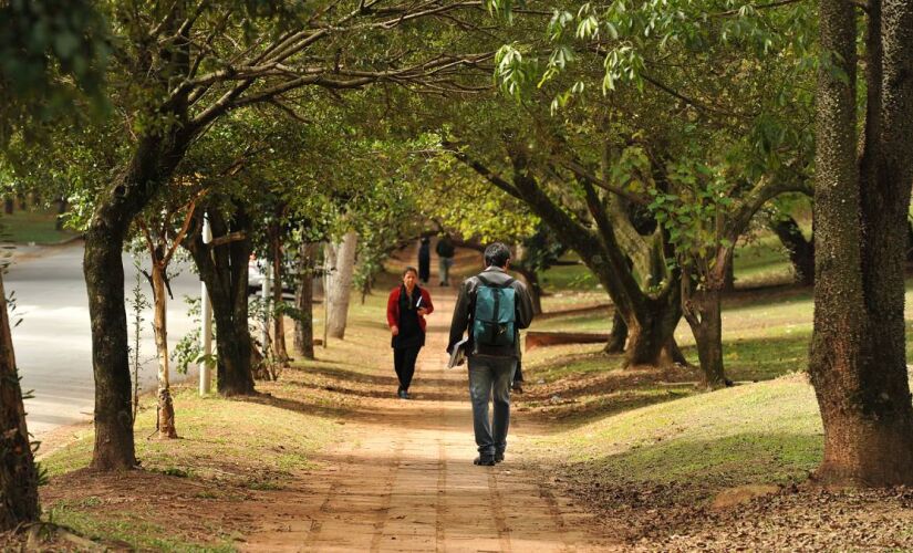 Universidade de São Paulo é a 5ª mais sustentável do mundo