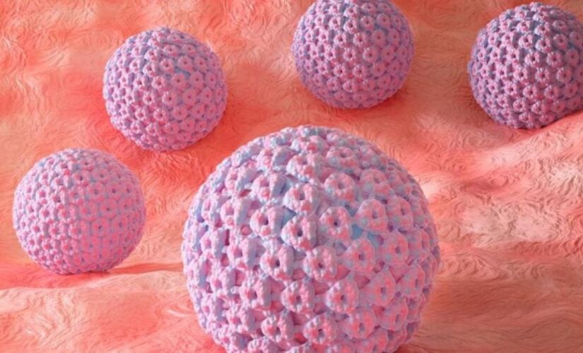 Cientista mexicana desenvolveu a terapia fotodinâmica para eliminar o vírus HPV