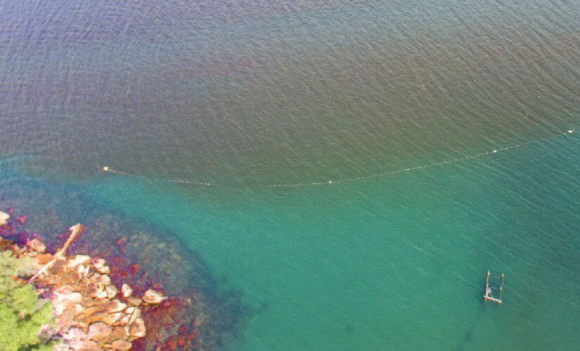 Descubra o fenômeno da maré vermelha e saiba quais os riscos do cenário no litoral de SP