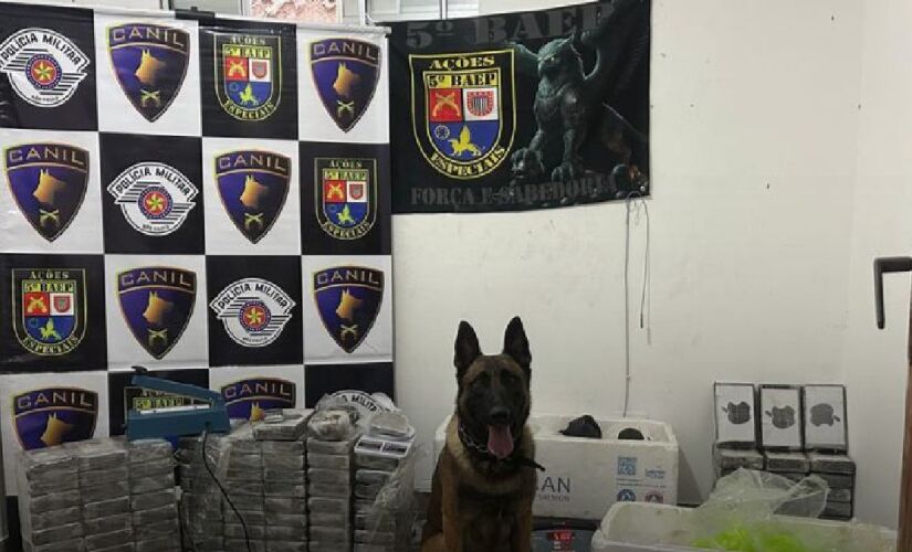 Ação contou com o apoio da equipe K9, liderada pelo cão farejador Thor