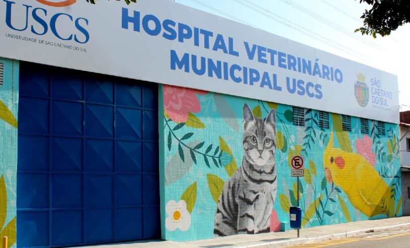 Hospital Veterinário Universitário Municipal São Lázaro realiza atendimentos clínicos e cirúrgicos de cães e gatos e pets não convencionais