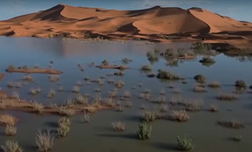 Chuva histórica atingiu o deserto do Saara recentemente