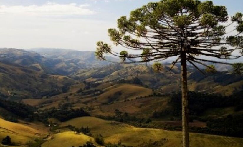 Senador Amaral, em Minas Gerais, se destaca por ser um destino pouco explorado pelos turistas