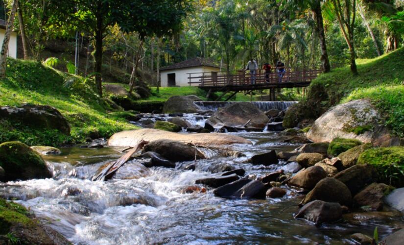 A cidade é eleita como a maior produtora de bananas e palmito pupunha de São Paulo.