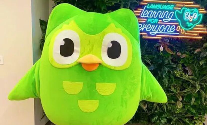 Duo, mascote do Duolingo, morre aos 14 anos