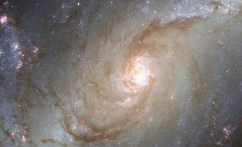 Descubra as previsões completas desta segunda-feira (24/2) para todos os signos do zodíaco 