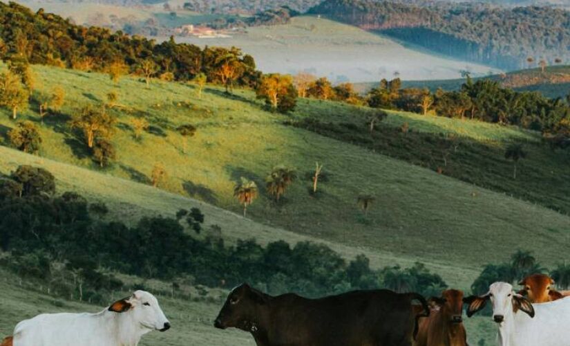 A menos de duas horas da Capital, cidades são perfeitas para relaxar em meio à natureza