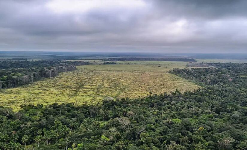 Região Centro-Oeste concentra dois dos estados que mais devem crescer