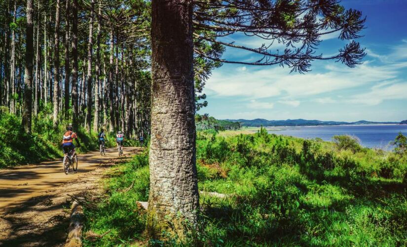 Salesópolis é um destino que une natureza, cultura e história em um só lugar.