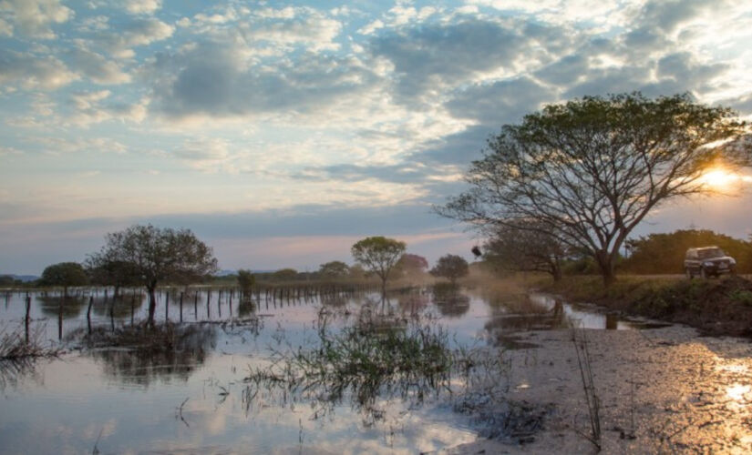 Pantanal é um destino interessante para viajar com crianças