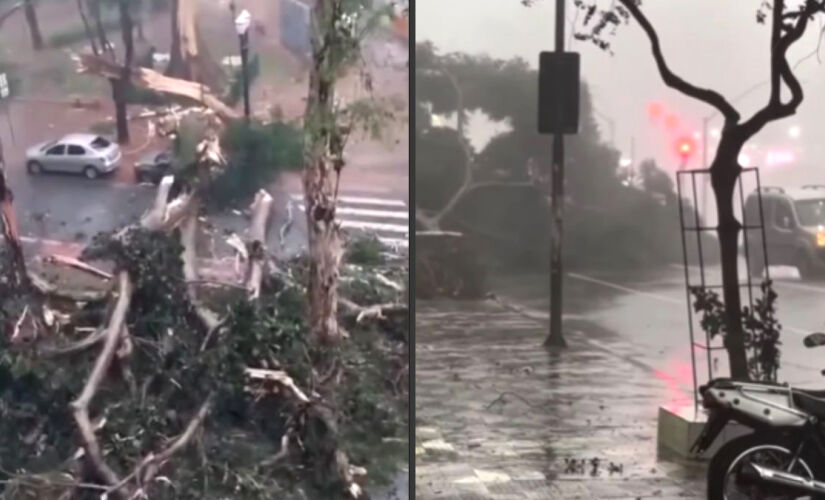 Segundo o Corpo de Bombeiros, 158 árvores foram derrubadas com as chuva