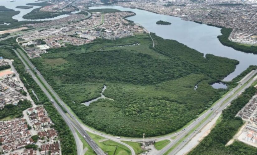 Cubatão se junta às 34 cidades brasileiras partes do programa "Tree Cities of the World"